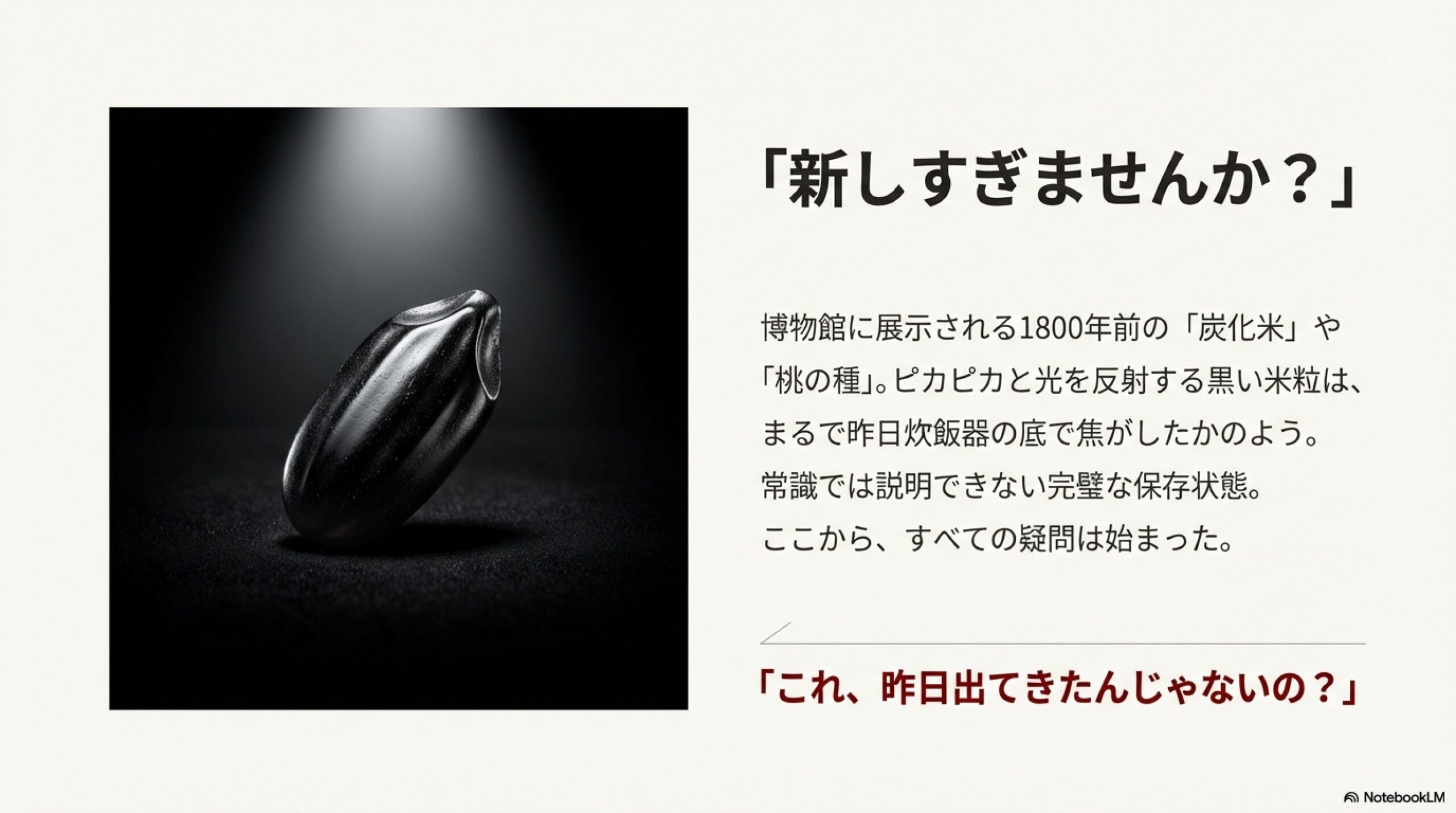 展示された炭化米